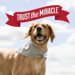 Nature's Miracle Stain & Odor Additive Laundry Boost -Pawsphoria Sales Store 646326 PT7. AC SS1800 V1668026551