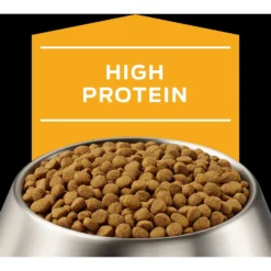 Purina Pro Plan Veterinary Diets JM Joint Mobility Dry Dog Food 12 Purina Pro Plan Veterinary Diets JM Joint Mobility Dry Dog Food -Pawsphoria Sales Store 65060 PT3. AC SS1800 V1700158226