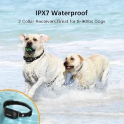 PATPET P680 Lightweight Remote Dog Training Collar, Black, 2 Count -Pawsphoria Sales Store 652030 PT2. AC SS1800 V1663880965