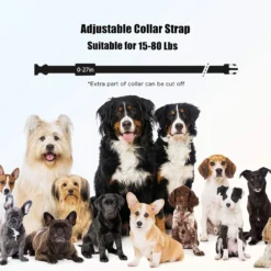 PATPET P680 Lightweight Remote Dog Training Collar, Black, 2 Count -Pawsphoria Sales Store 652030 PT6. AC SS1800 V1663881027