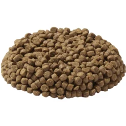 Wysong Senior Dry Dog Food -Pawsphoria Sales Store 65289 PT2. AC SS1800 V1535403746