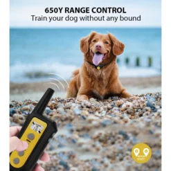 GroovyPets 650 Yard Auto Anti-bark Remote Dog Training Shock Collar, Black 16 GroovyPets 650 Yard Auto Anti-bark Remote Dog Training Shock Collar, Black -Pawsphoria Sales Store 654750 PT7. AC SS1800 V1675105207