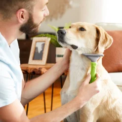 Frisco 61-in Faux Fur Cat Tree & Condo + 2 Items -Pawsphoria Sales Store 660446 PT6. AC SS1800 V1666297219