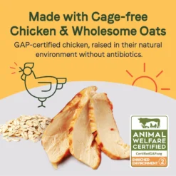 CANIDAE Sustain Wholesome Pates Premium Recipe With Cage-Free Chicken Dog Wet Dog Food -Pawsphoria Sales Store 660502 PT2. AC SS1800 V1664555043