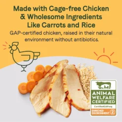 CANIDAE Sustain Bone Broth Toppers Premium Recipe With Cage-Free Chicken Dog Food Topper, 5.5-oz, Case Of 12 -Pawsphoria Sales Store 660534 PT2. AC SS1800 V1664554258