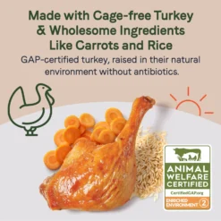 CANIDAE Sustain Bone Broth Toppers Premium Recipe With Cage-Free Turkey Dog Food Topper, 5.5-oz, Case Of 12 -Pawsphoria Sales Store 660550 PT2. AC SS1800 V1664555121