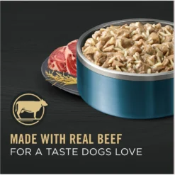 Purina Pro Plan Specialized Adult Large Breed Beef & Rice Entree Canned Dog Food 10 Purina Pro Plan Specialized Adult Large Breed Beef & Rice Entree Canned Dog Food -Pawsphoria Sales Store 67448 PT2. AC SS1800 V1689791144