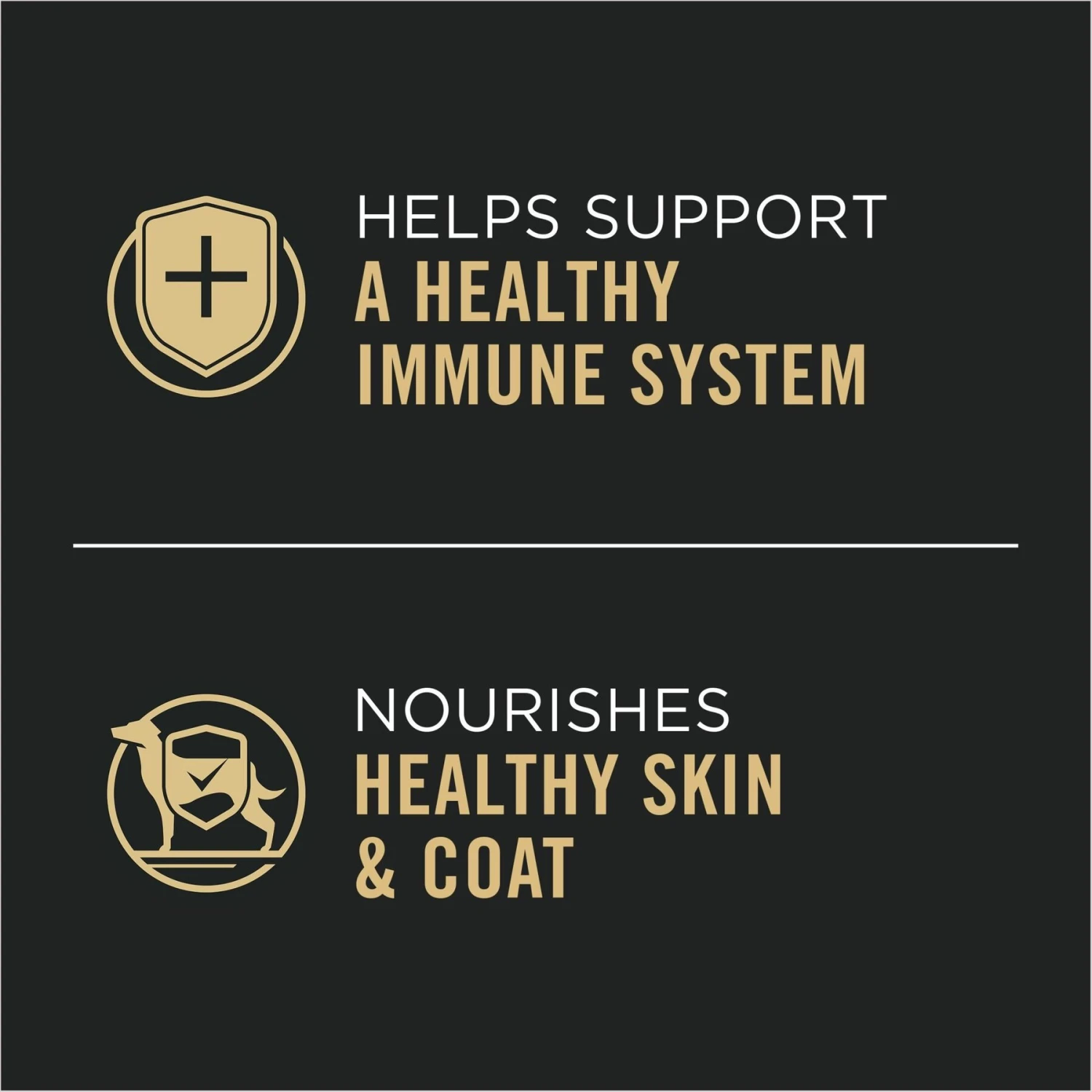 Purina Pro Plan Specialized Adult Large Breed Beef & Rice Entree Canned Dog Food 5 Purina Pro Plan Specialized Adult Large Breed Beef & Rice Entree Canned Dog Food - Image 5