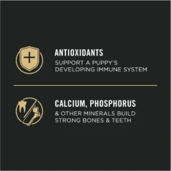 Purina Pro Plan High Protein Chicken & Rice Formula Dry Puppy Food -Pawsphoria Sales Store 67481 PT4. AC SS1800 V1683646834