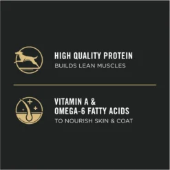 Purina Pro Plan High Protein Chicken & Rice Formula Dry Puppy Food -Pawsphoria Sales Store 67481 PT6. AC SS1800 V1683575123