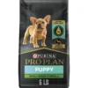 Purina Pro Plan Puppy Small Breed Chicken & Rice Formula Dry Dog Food