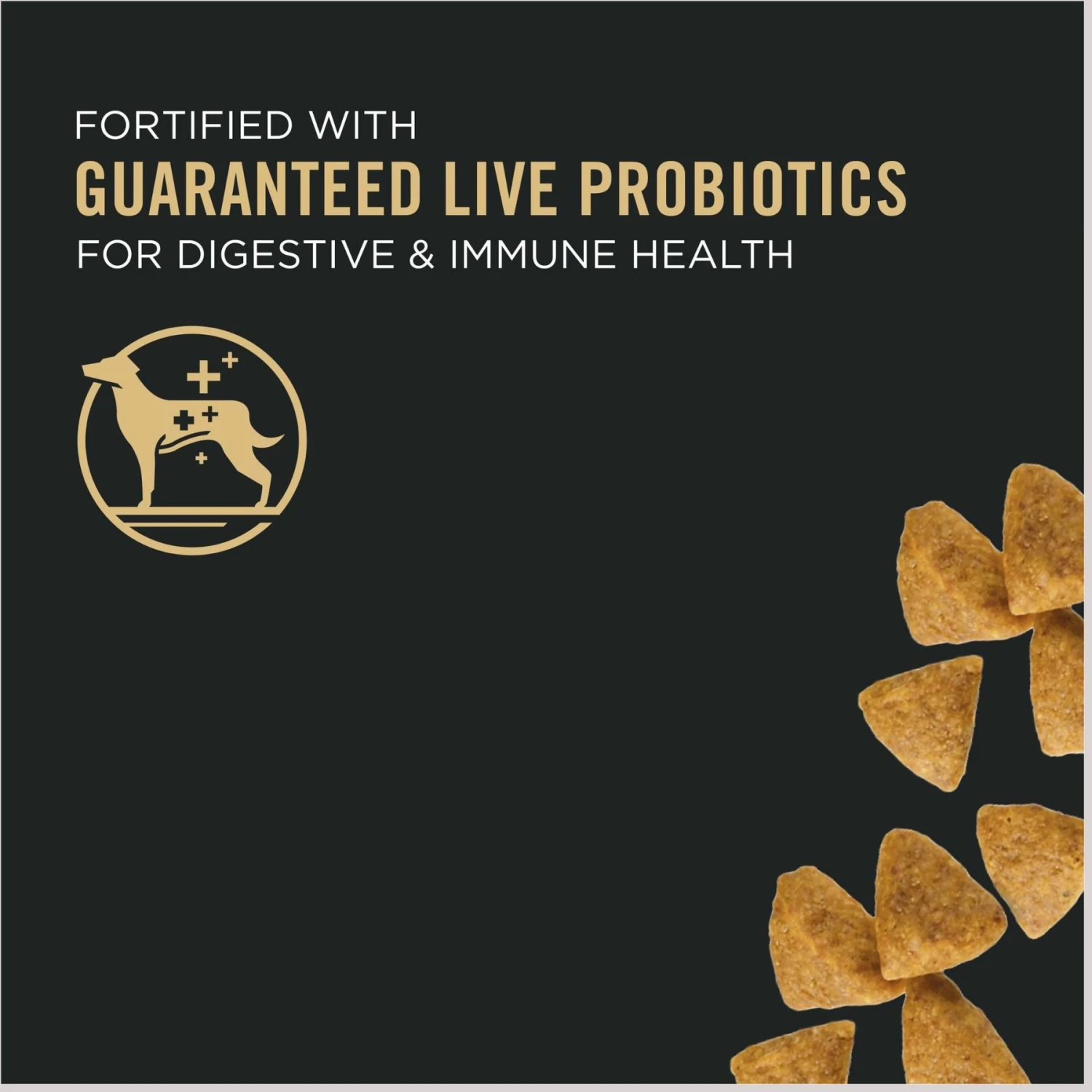 Purina Pro Plan Puppy Small Breed Chicken & Rice Formula Dry Dog Food 3 Purina Pro Plan Puppy Small Breed Chicken & Rice Formula Dry Dog Food - Image 3