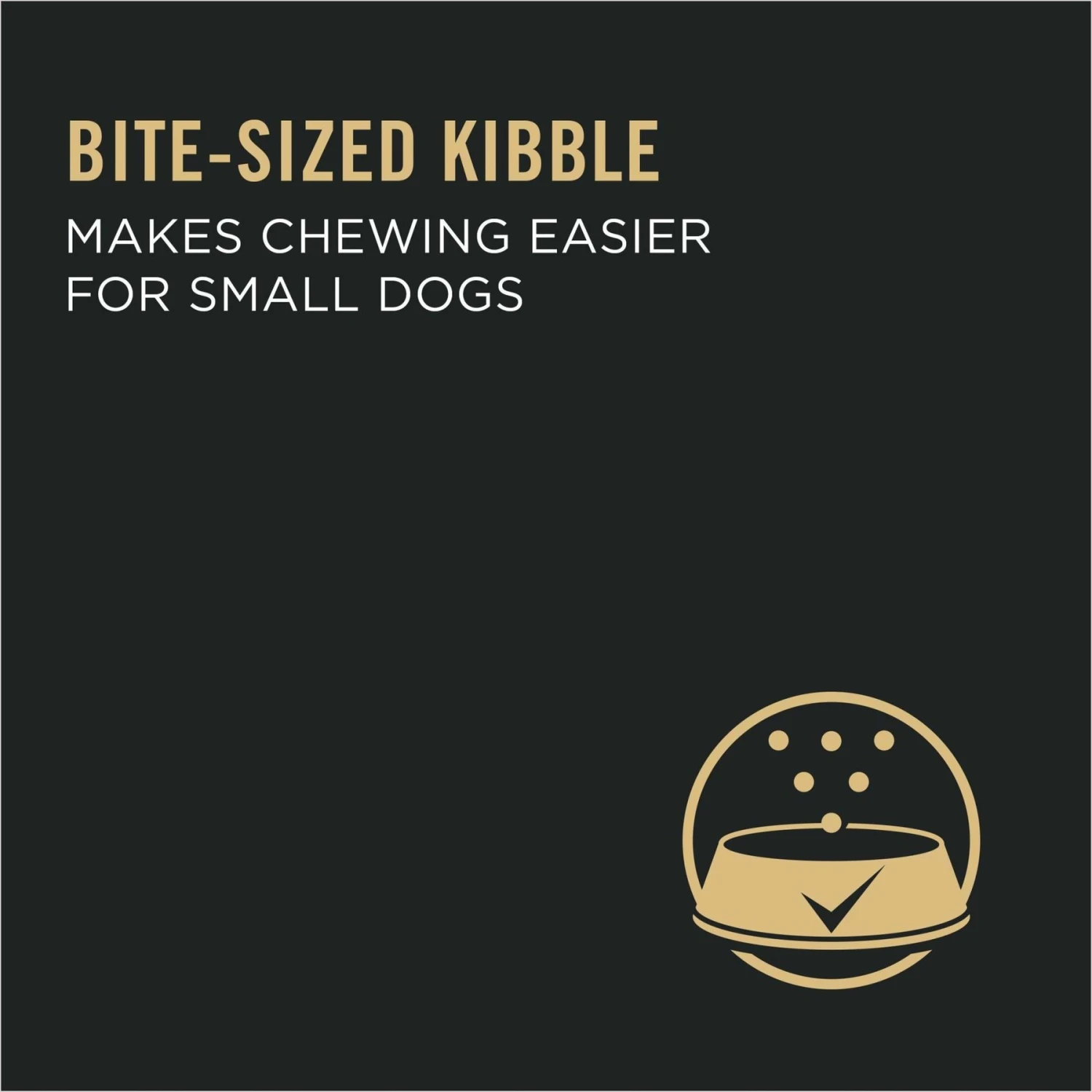 Purina Pro Plan Puppy Small Breed Chicken & Rice Formula Dry Dog Food 8 Purina Pro Plan Puppy Small Breed Chicken & Rice Formula Dry Dog Food - Image 8