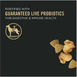 Purina Pro Plan Adult Shredded Blend Beef & Rice Formula Dry Dog Food 11 Purina Pro Plan Adult Shredded Blend Beef & Rice Formula Dry Dog Food -Pawsphoria Sales Store 67508 PT2. AC SS1800 V1649197312