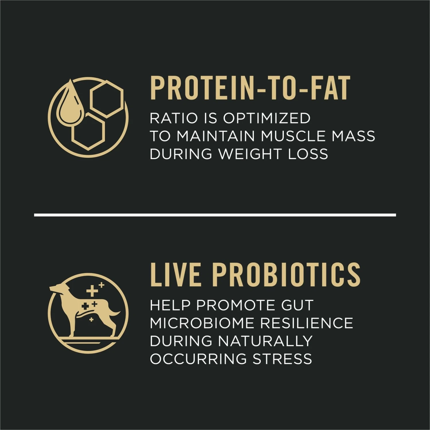 Purina Pro Plan Adult Weight Management Shredded Blend Chicken & Rice Formula Dry Dog Food 4 Purina Pro Plan Adult Weight Management Shredded Blend Chicken & Rice Formula Dry Dog Food - Image 4