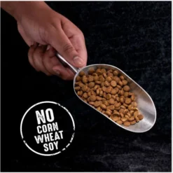 Crave High Protein Chicken Adult Grain-Free Dry Dog Food -Pawsphoria Sales Store 689526 PT3. AC SS1800 V1688756656