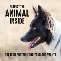 Crave High Protein Chicken Adult Grain-Free Dry Dog Food -Pawsphoria Sales Store 689526 PT4. AC SS1800 V1688753854