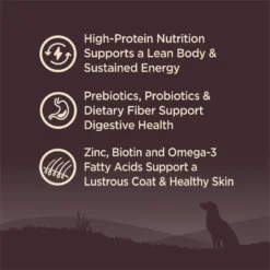 Wellness CORE Grain-Free Wild Game Duck, Lamb Meal, Boar & Rabbit Recipe Natural Dry Dog Food 9 Wellness CORE Grain-Free Wild Game Duck, Lamb Meal, Boar & Rabbit Recipe Natural Dry Dog Food -Pawsphoria Sales Store 69183 PT2. AC SS1800 V1677613580