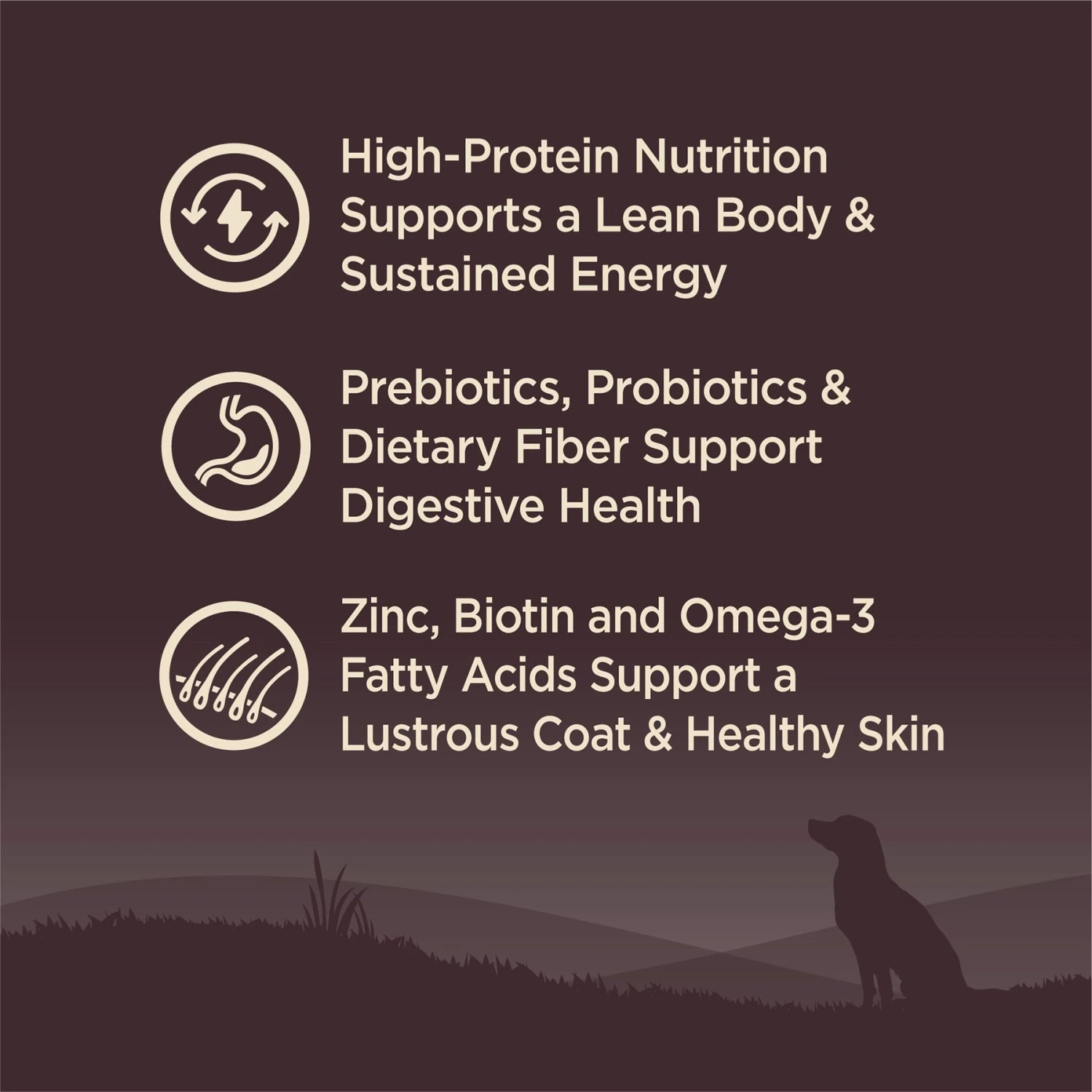 Wellness CORE Grain-Free Wild Game Duck, Lamb Meal, Boar & Rabbit Recipe Natural Dry Dog Food 3 Wellness CORE Grain-Free Wild Game Duck, Lamb Meal, Boar & Rabbit Recipe Natural Dry Dog Food - Image 3