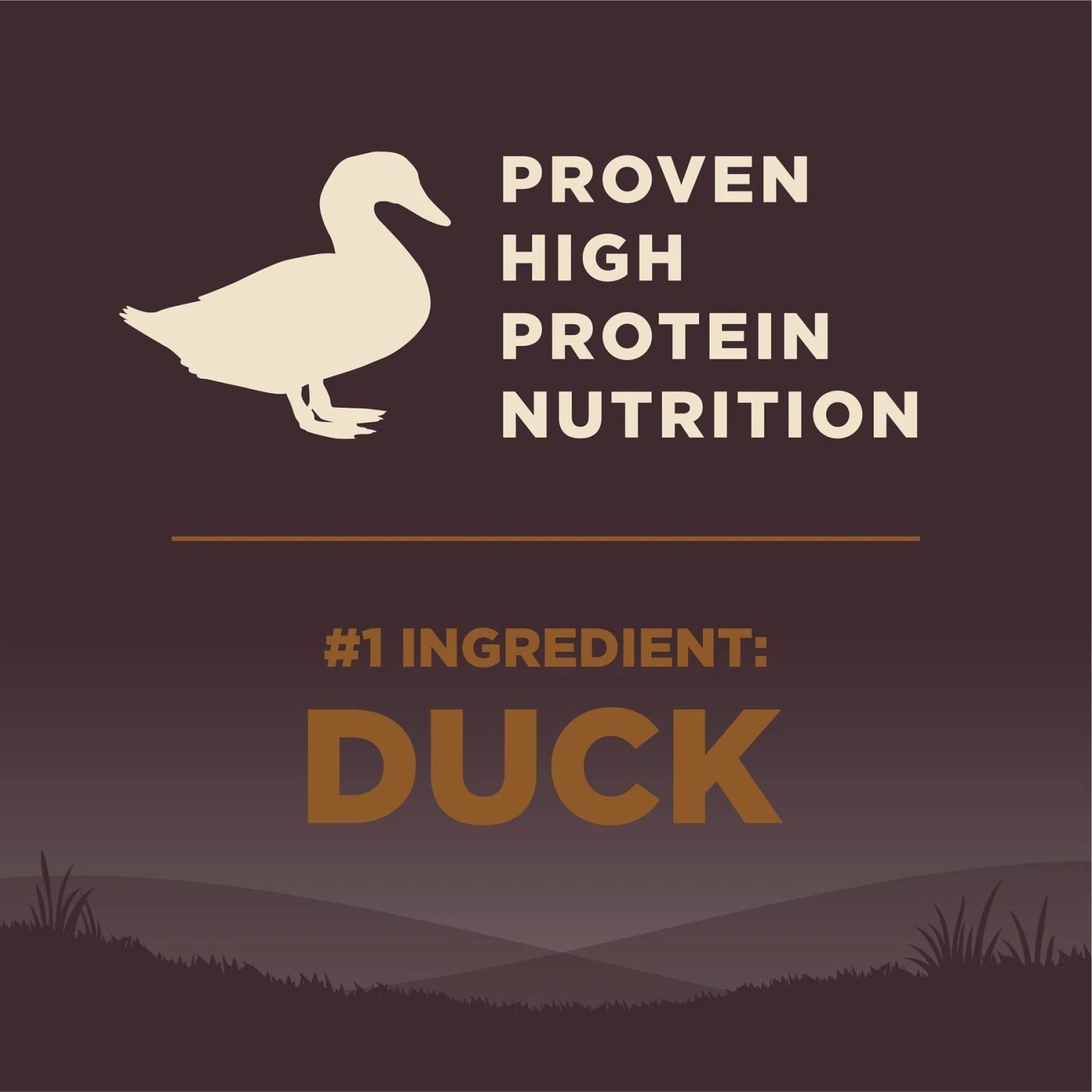 Wellness CORE Grain-Free Wild Game Duck, Lamb Meal, Boar & Rabbit Recipe Natural Dry Dog Food 5 Wellness CORE Grain-Free Wild Game Duck, Lamb Meal, Boar & Rabbit Recipe Natural Dry Dog Food - Image 5