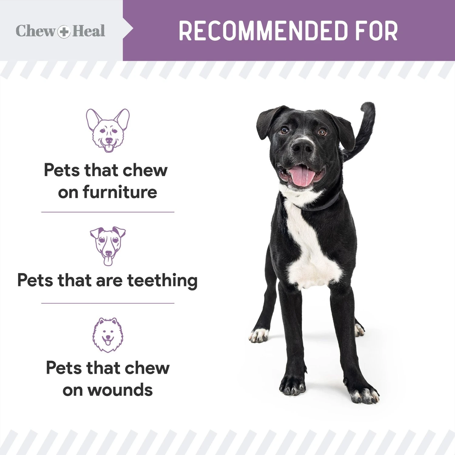 Chew + Heal No Chew Dog & Cat Spray, 8-oz Bottle 5 Chew + Heal No Chew Dog & Cat Spray, 8-oz Bottle - Image 5