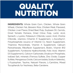 Hill's Prescription Diet B/d Brain Aging Care Chicken Flavor Dry Dog Food -Pawsphoria Sales Store 69742 PT7. AC SS1800 V1665781423