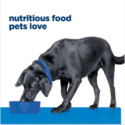 Hill's Prescription Diet D/d Skin/Food Sensitivities Salmon Formula Canned Dog Food -Pawsphoria Sales Store 69748 PT6. AC SS1800 V1672947916