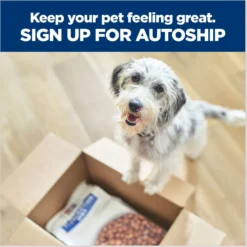 Hill's Prescription Diet D/d Skin/Food Sensitivities Salmon Formula Canned Dog Food -Pawsphoria Sales Store 69748 PT8. AC SS1800 V1672948210