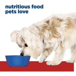 Hill's Prescription Diet G/d Aging Care Turkey Flavor Wet Senior Dog Food 11 Hill's Prescription Diet G/d Aging Care Turkey Flavor Wet Senior Dog Food -Pawsphoria Sales Store 69757 PT2. AC SS1800 V1687984678
