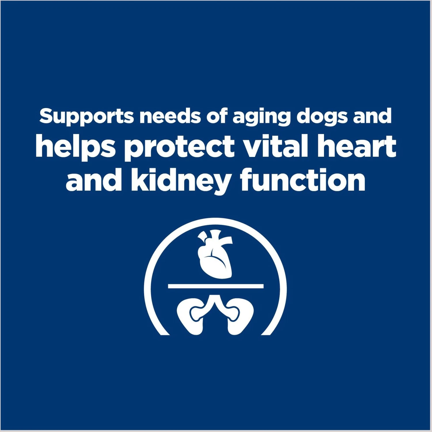 Hill's Prescription Diet G/d Aging Care Turkey Flavor Wet Senior Dog Food 4 Hill's Prescription Diet G/d Aging Care Turkey Flavor Wet Senior Dog Food - Image 4