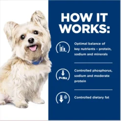 Hill's Prescription Diet G/d Aging Care Turkey Flavor Wet Senior Dog Food 14 Hill's Prescription Diet G/d Aging Care Turkey Flavor Wet Senior Dog Food -Pawsphoria Sales Store 69757 PT5. AC SS1800 V1687986577