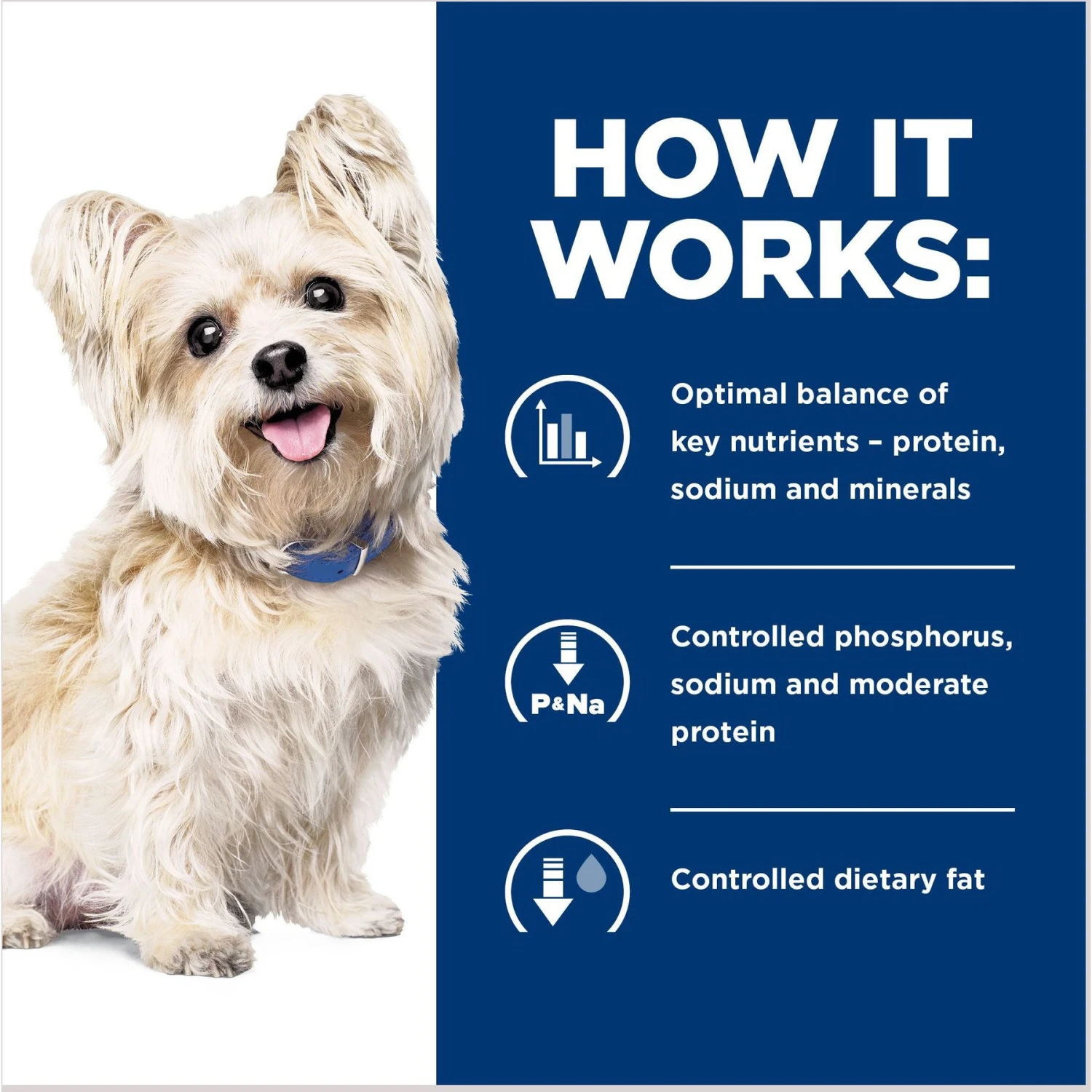 Hill's Prescription Diet G/d Aging Care Turkey Flavor Wet Senior Dog Food 6 Hill's Prescription Diet G/d Aging Care Turkey Flavor Wet Senior Dog Food - Image 6