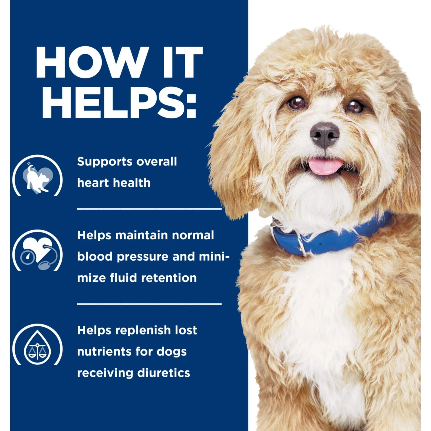 Hill's Prescription Diet H/d Heart Care Chicken Flavor Dry Dog Food 4 Hill's Prescription Diet H/d Heart Care Chicken Flavor Dry Dog Food - Image 4