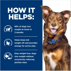 Hill's Prescription Diet Metabolic Chicken Flavor Wet Dog Food 13 Hill's Prescription Diet Metabolic Chicken Flavor Wet Dog Food -Pawsphoria Sales Store 69778 PT4. AC SS1800 V1687986842