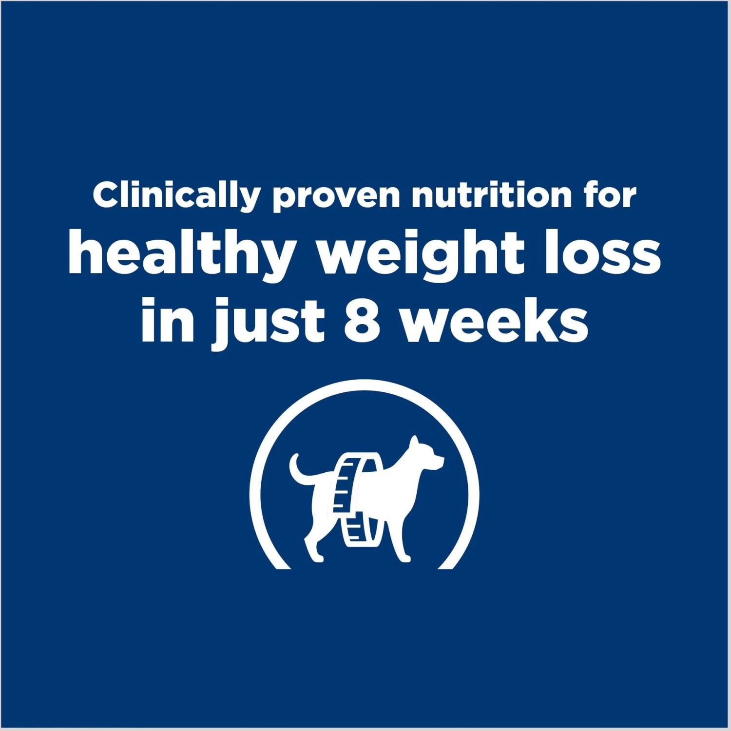 Hill's Prescription Diet R/d Weight Reduction Original Canned Dog Food 3 Hill's Prescription Diet R/d Weight Reduction Original Canned Dog Food - Image 3