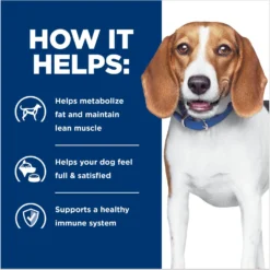 Hill's Prescription Diet R/d Weight Reduction Original Canned Dog Food 12 Hill's Prescription Diet R/d Weight Reduction Original Canned Dog Food -Pawsphoria Sales Store 69783 PT3. AC SS1800 V1672947078