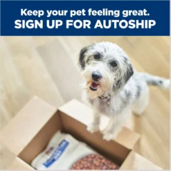 Hill's Prescription Diet R/d Weight Reduction Original Canned Dog Food 17 Hill's Prescription Diet R/d Weight Reduction Original Canned Dog Food -Pawsphoria Sales Store 69783 PT8. AC SS1800 V1672947058