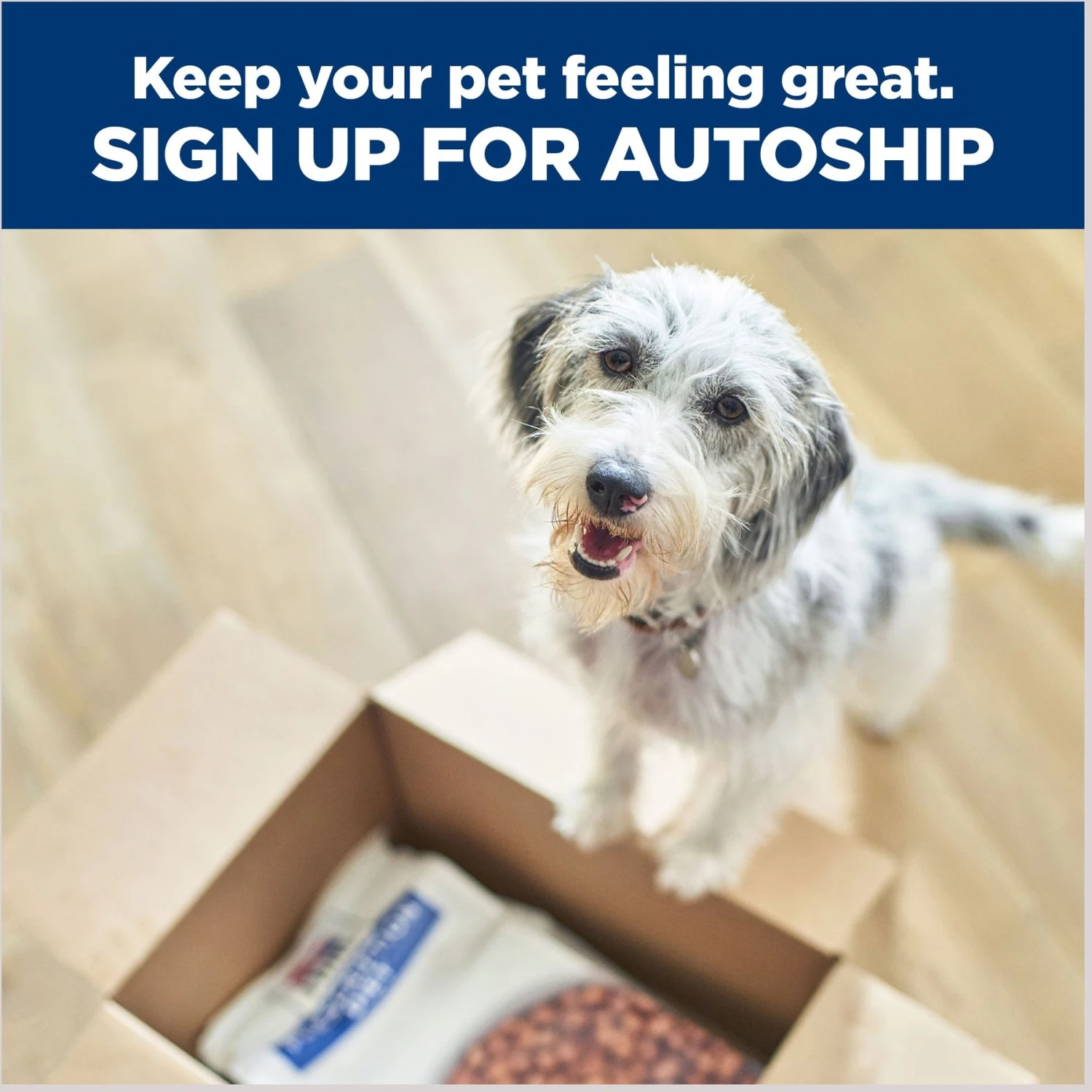 Hill's Prescription Diet R/d Weight Reduction Original Canned Dog Food 9 Hill's Prescription Diet R/d Weight Reduction Original Canned Dog Food - Image 9