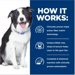 Hill's Prescription Diet T/d Dental Care Chicken Flavor Dry Dog Food -Pawsphoria Sales Store 69790 PT4. AC SS1800 V1668550939