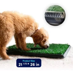 Hygena Scoop Grass Indoor/Outdoor Portable Potty Dog Litter 11 Hygena Scoop Grass Indoor/Outdoor Portable Potty Dog Litter -Pawsphoria Sales Store 699422 PT4. AC SS1800 V1667517795