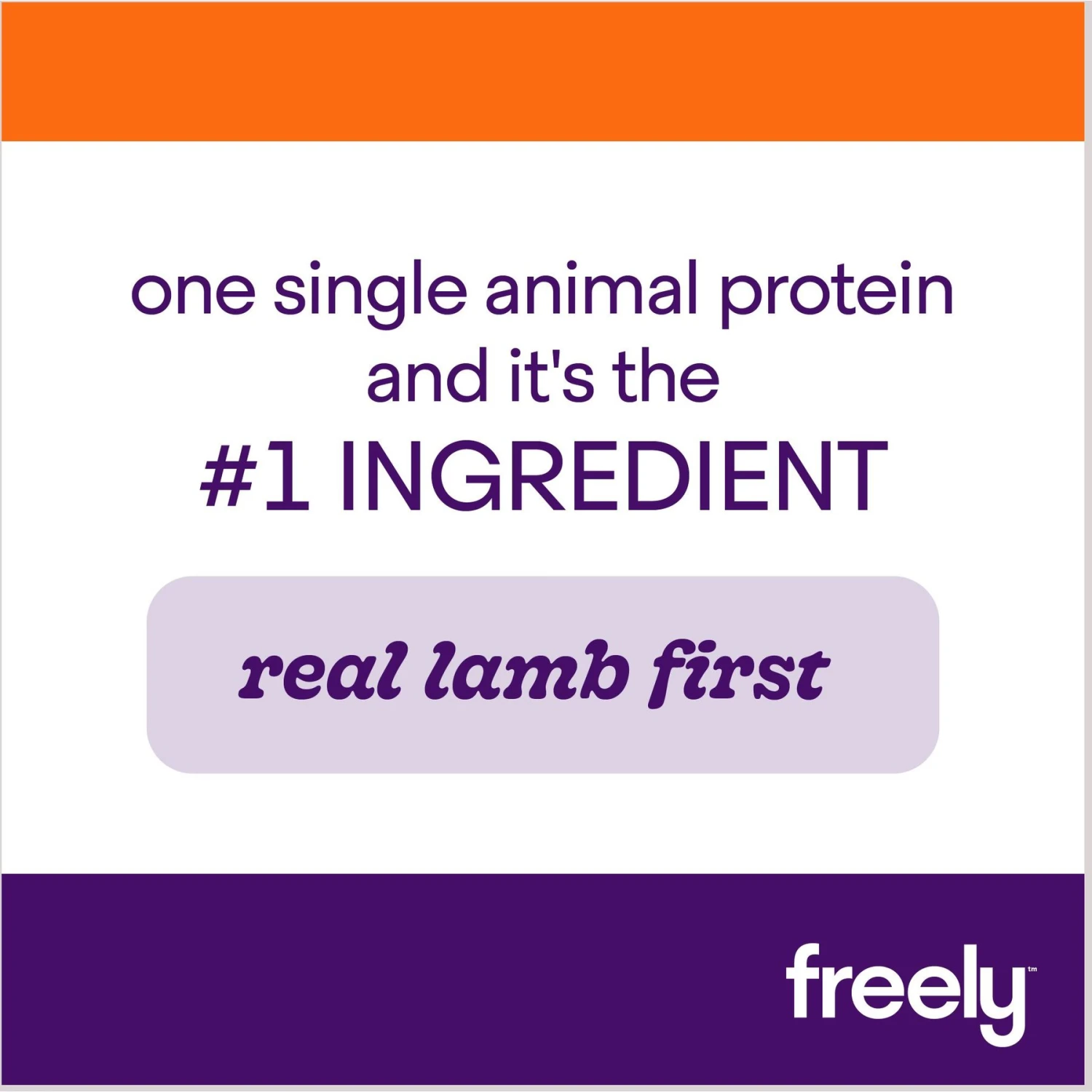 Freely Lamb Recipe Limited Ingredient Grain-Free Wet Dog Food 2 Freely Lamb Recipe Limited Ingredient Grain-Free Wet Dog Food - Image 2