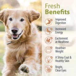 JustFoodForDogs Variety Pack Frozen Human-Grade Fresh Dog Food -Pawsphoria Sales Store 704550 PT6. AC SS1800 V1697645819