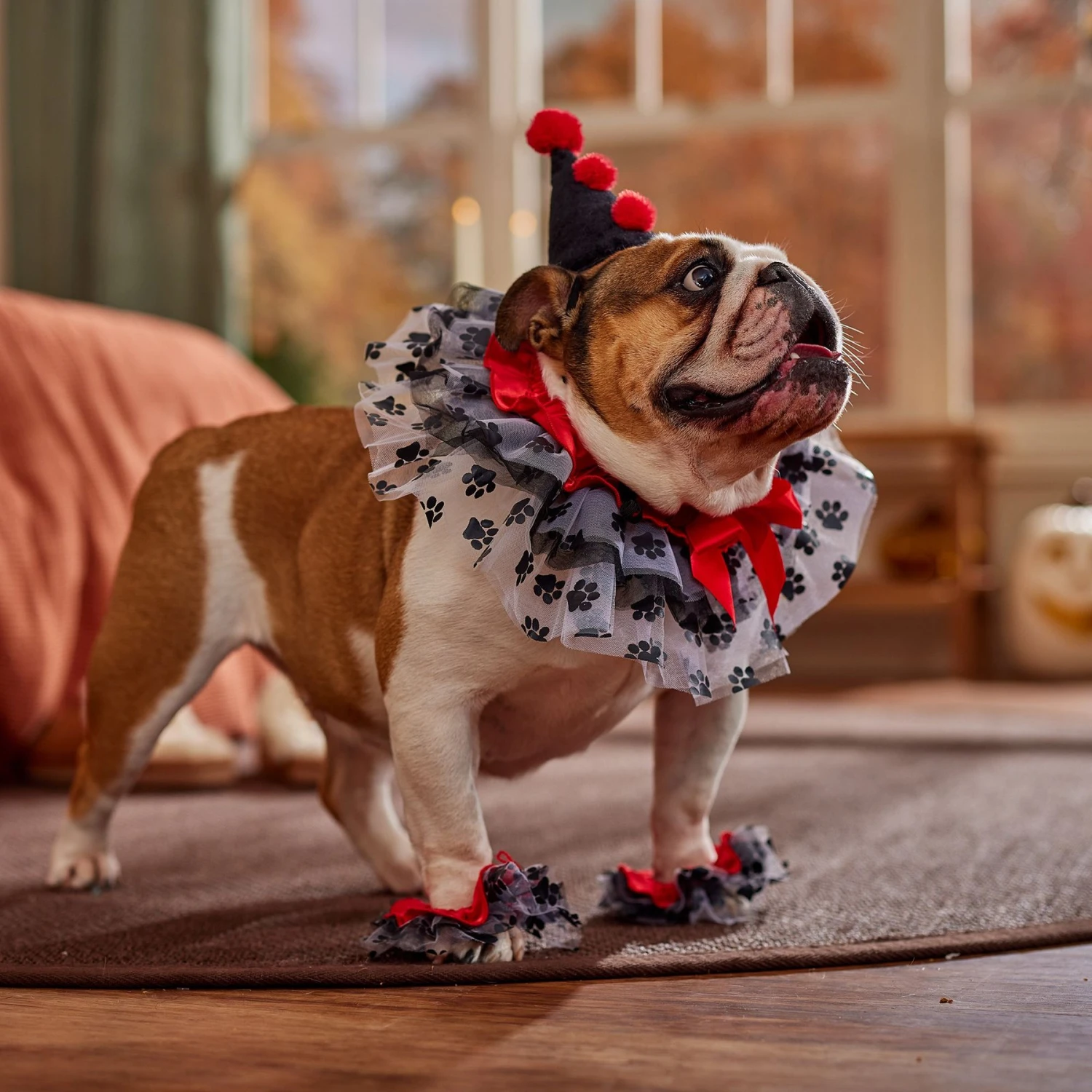 Frisco Clown Dog & Cat Costume Accessory 6 Frisco Clown Dog & Cat Costume Accessory - Image 6