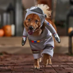Frisco Front Walking LED Astronaut Dog & Cat Costume 14 Frisco Front Walking LED Astronaut Dog & Cat Costume -Pawsphoria Sales Store 707630 PT7. AC SS1800 V1689278700