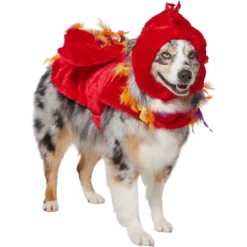 Frisco Flying Phoenix Dog & Cat Costume -Pawsphoria Sales Store 708150 PT3. AC SS1800 V1691084928