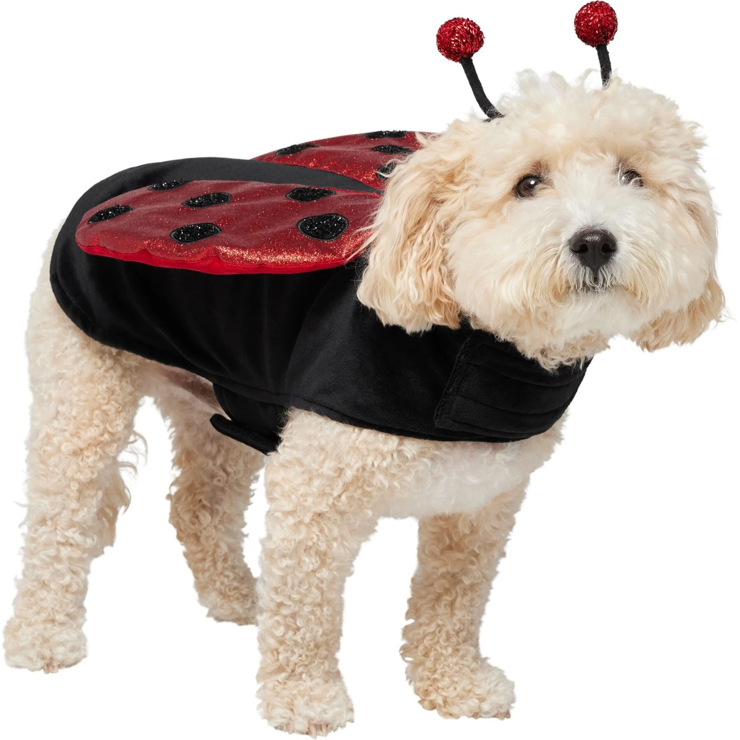 Frisco Glittered Ladybug Dog & Cat Costume 1 Frisco Glittered Ladybug Dog & Cat Costume