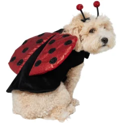 Frisco Glittered Ladybug Dog & Cat Costume 12 Frisco Glittered Ladybug Dog & Cat Costume -Pawsphoria Sales Store 708254 PT3. AC SS1800 V1689350986