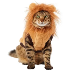 Frisco Lion Love Dog & Cat Costume -Pawsphoria Sales Store 708318 PT2. AC SS1800 V1689341486