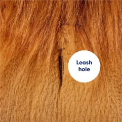 Frisco Lion Love Dog & Cat Costume -Pawsphoria Sales Store 708318 PT6. AC SS1800 V1689351045