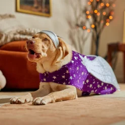 Frisco Shooting Stars Dog & Cat Costume -Pawsphoria Sales Store 708614 PT7. AC SS1800 V1689278699